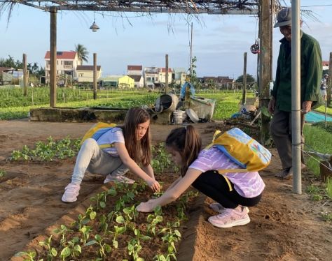 Hoi An Tra Que Vegetable Village 2 72de5a44