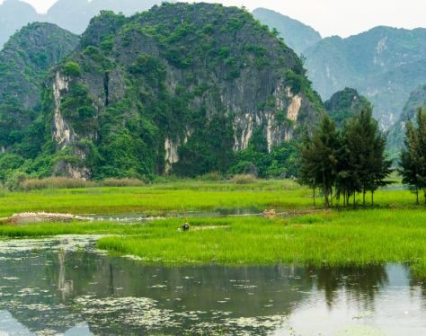Ninh Binh Van Long Nature Reserve 3 72bb7a48