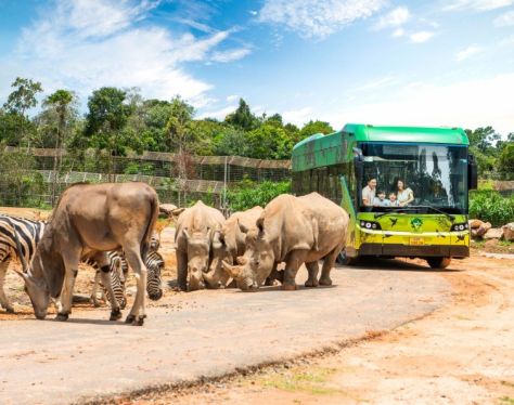 PhuQuoc VinPearlSafari 1 74006b15