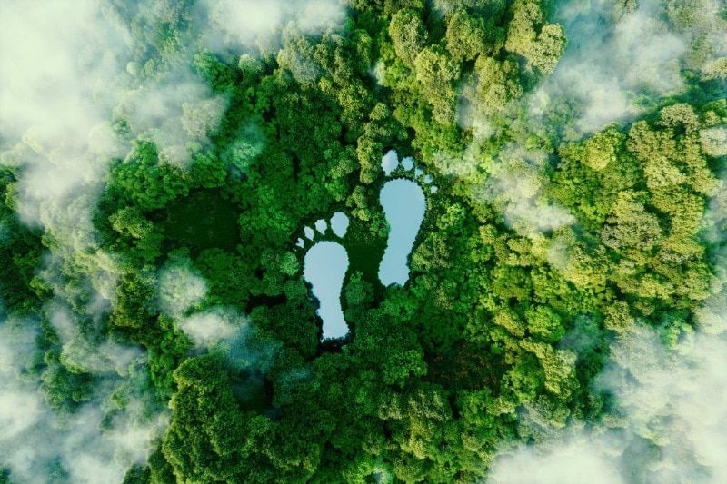 travel carbon footprint 1 1 75ea7b06