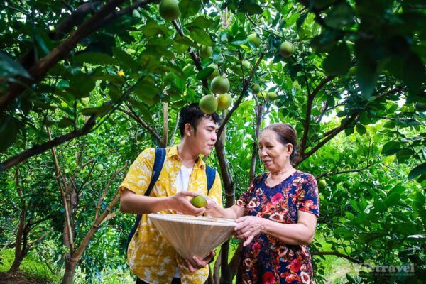 Tropical Fruits in an Orchard e1753844933850 7608bc21