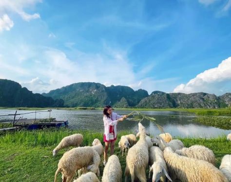 Ninh Binh Van Long Nature Reserve 6 7a799b46