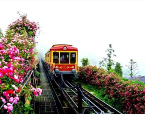 Sapa MuongHoaValley 6 e1753842425556 7b7b2110
