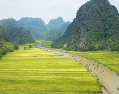 Ninh Binh Rice Paddies 5 7d76ccb9