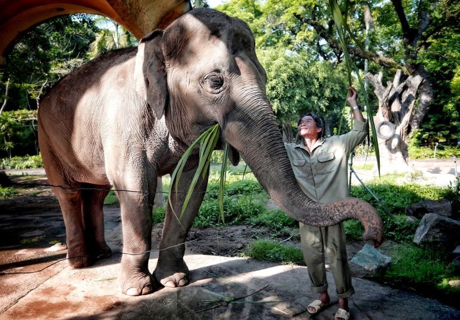 saigon zoo and botanical gardens