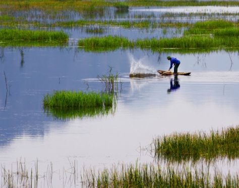 Ninh Binh Van Long Nature Reserve 1 80446811