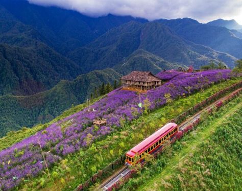 Seni Muong Hoa Mountain Railway 81f3e92d