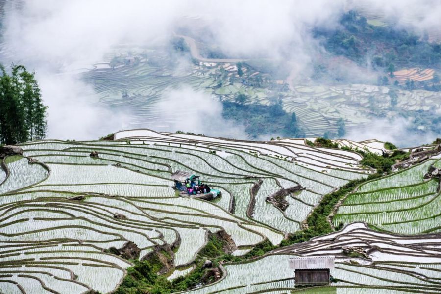 Sapa in April