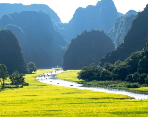 Ninh Binh Rice Paddies 2 874b3fee