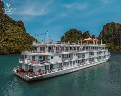 Ambassador Signature Cruise 2 899af731