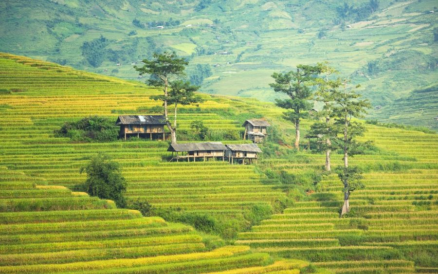 Sapa TerracedField 7 89be2af0