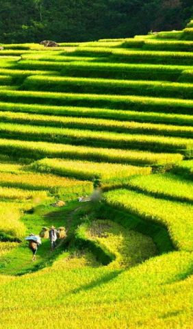 Pu Luong Kho Muong Village 1 8be1f8a2