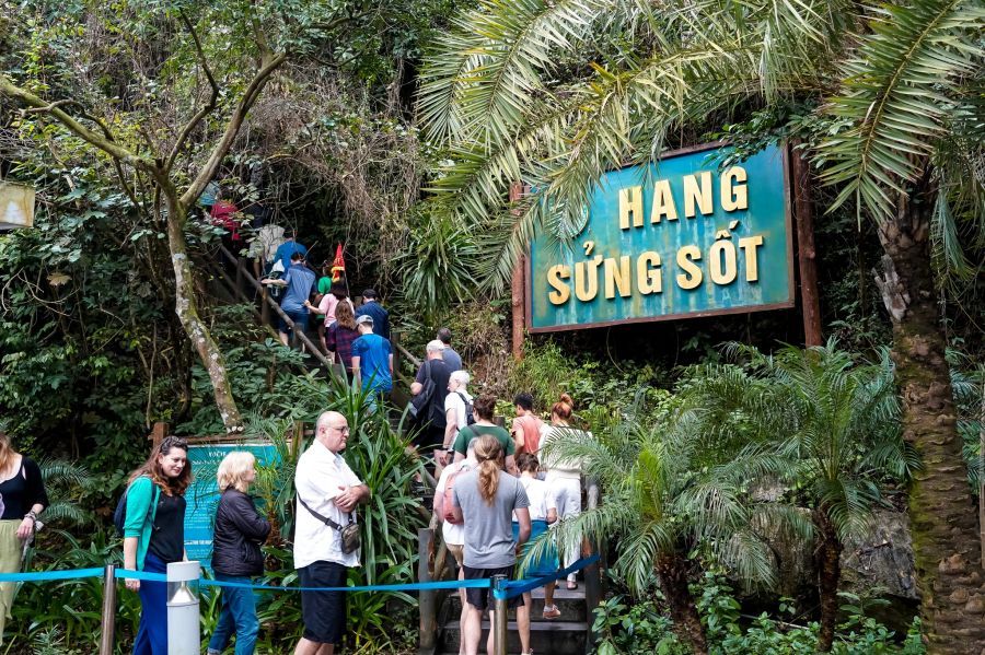 Walk Through The Forested Stone Path 8e157aba