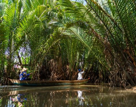Mekong Delta Thoi Son Canal 2 8f856961
