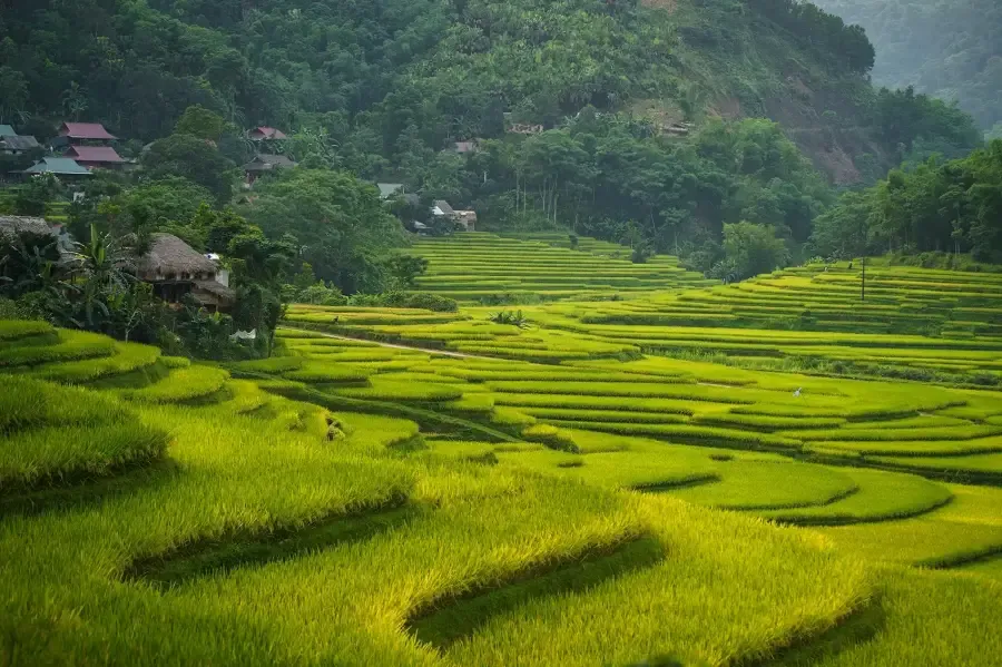 Pu Luong Nature Reserve