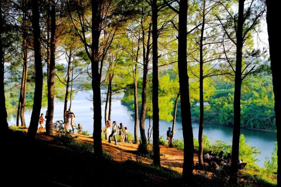 vong Canh Hill 92634243