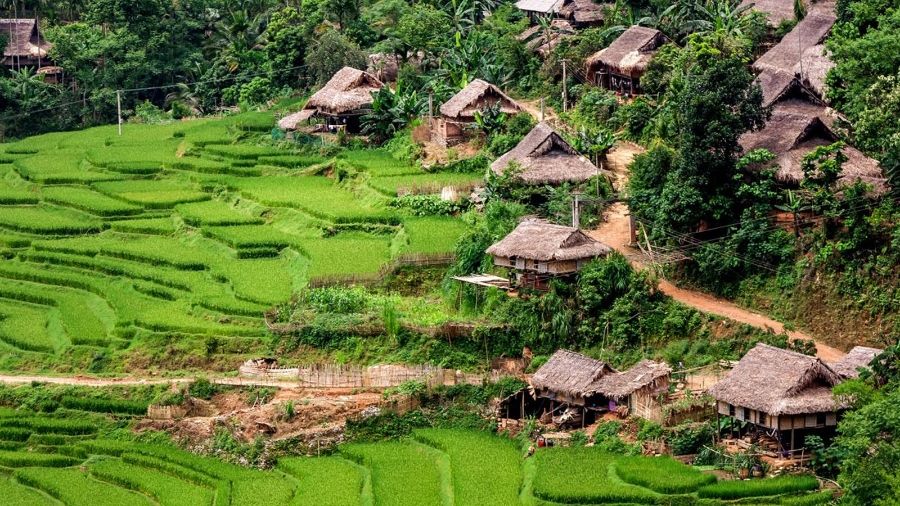Pu Luong Kho Muong Village 5 95c766f0