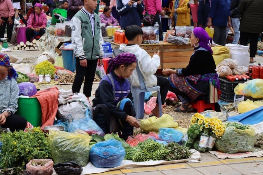 batch 8. Explore Local Specialties and Traditional Products 96909f61