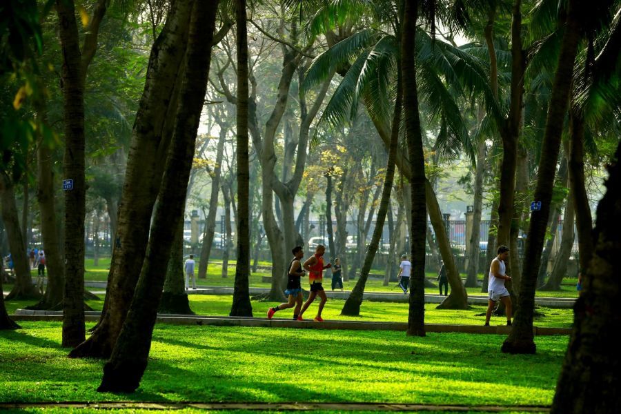 thong nhat park
