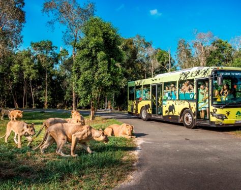 PhuQuoc VinPearlSafari 4 9b7aa71c