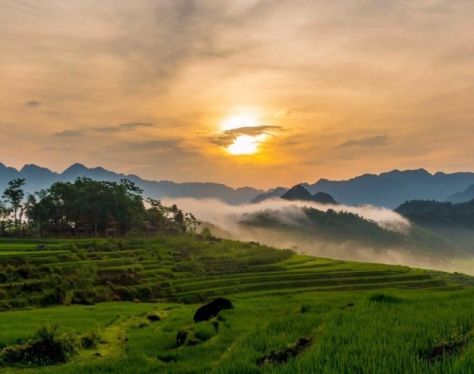 Pu Luong Pu Luong mountain peak 5 a8b03254