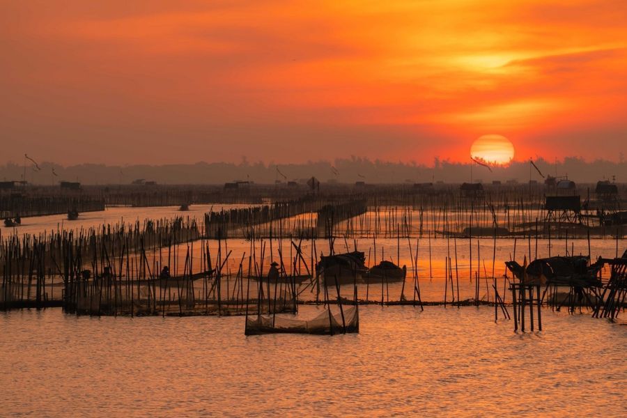 Tam Giang Lagoon acf5680d