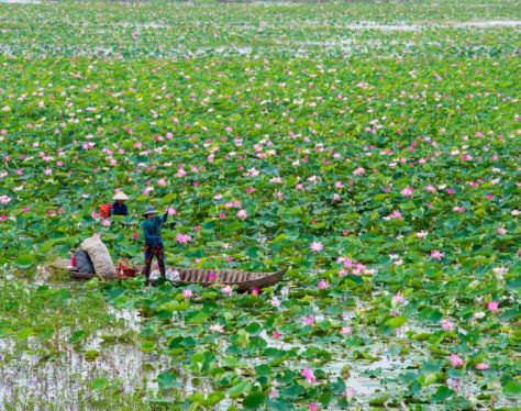 Mekong Delta Dong Thap Muoi Wetland 2 ad6cb7aa