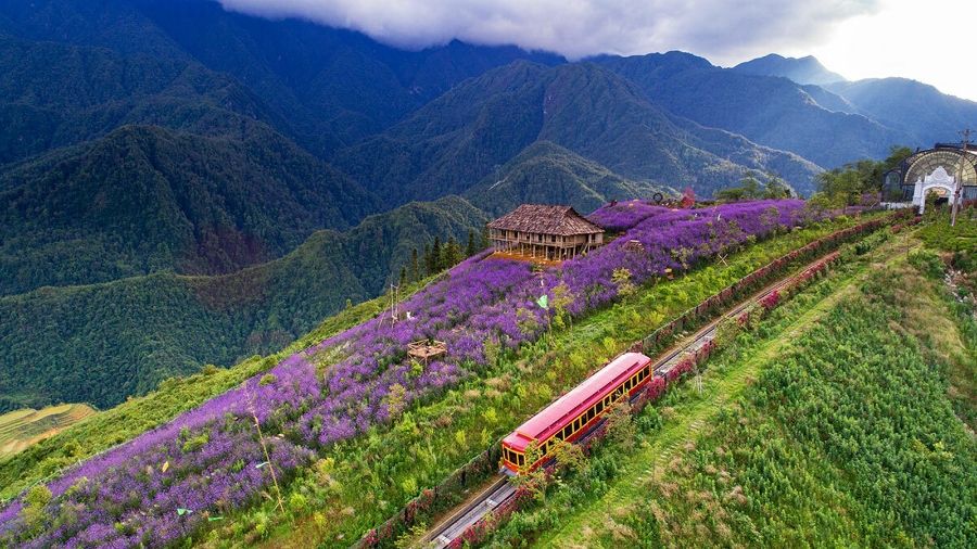 Sapa MuongHoaValley 4 aee23583