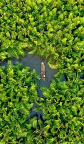 Shrimp Farms in Hoi An e1753843682347 b4af5b7b