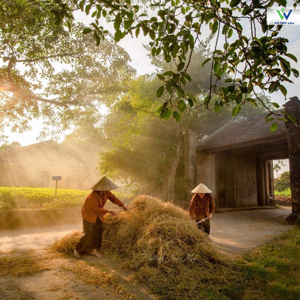 duong lam 1 e1750050105738 b45faa38