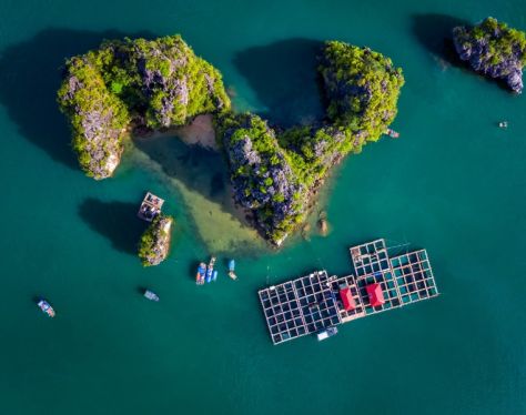 Halong Bay Cua Van Floating Village 4 b844778e