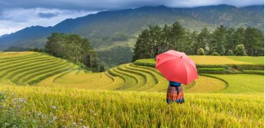 Sapa TerracedField 1 b9a5179a