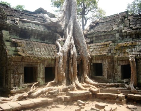 Siem Reap Ta Prohm 4 bb8e8c6c