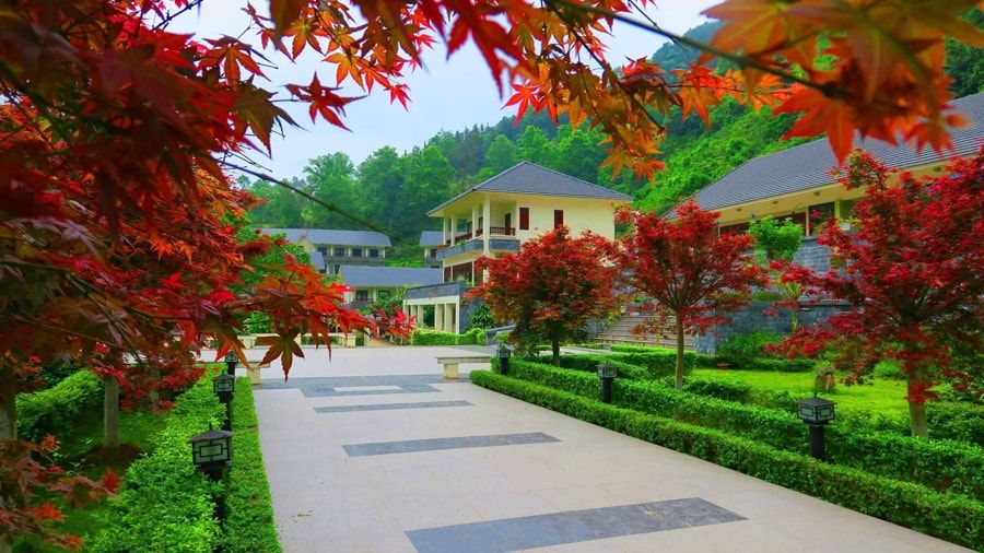 Sai Gon Ban Gioc Resort bc5590b6