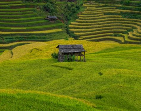 Sapa TerracedField 8 be82b927