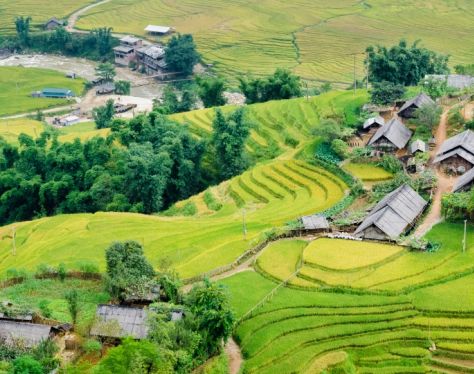 Sapa MuongHoaValley 2 c1a7b8d5