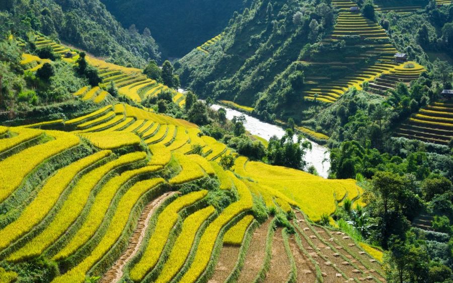 Sapa TerracedField 3 c1e14bd6