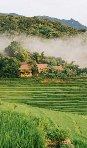 Mai Chau Pu Luong Nature Reserve 5 c6a832e0
