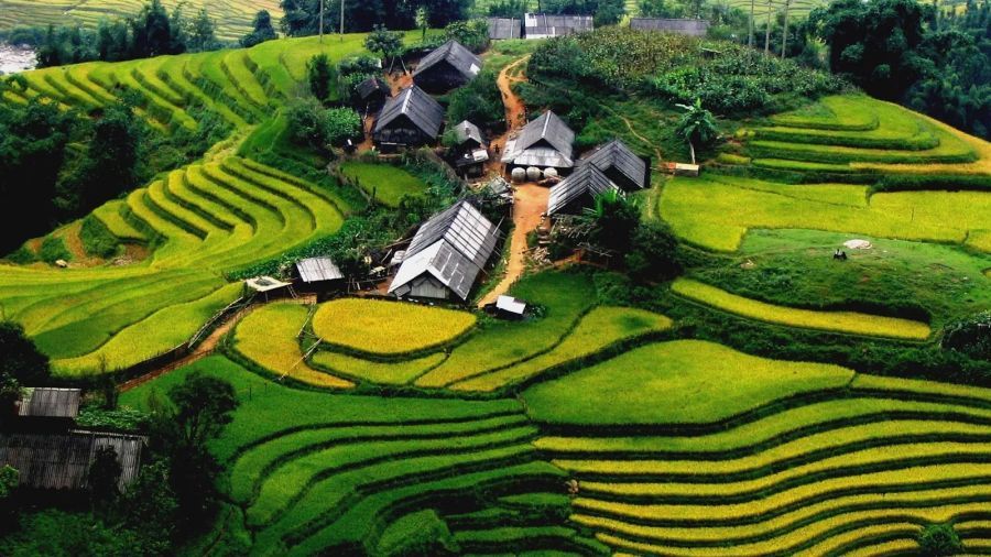 y linh ho village