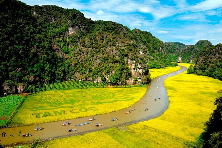 Take A Boat Ride through Tam Coc’s Golden Fields