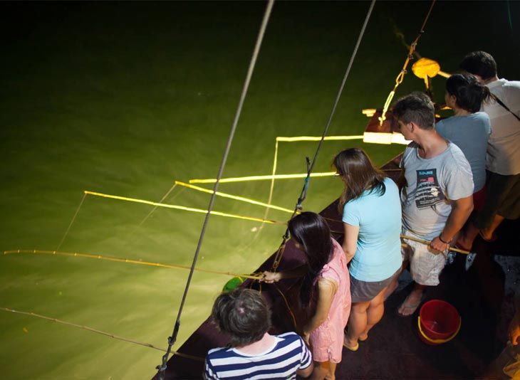 squid fishing in halong bay cde6aa93