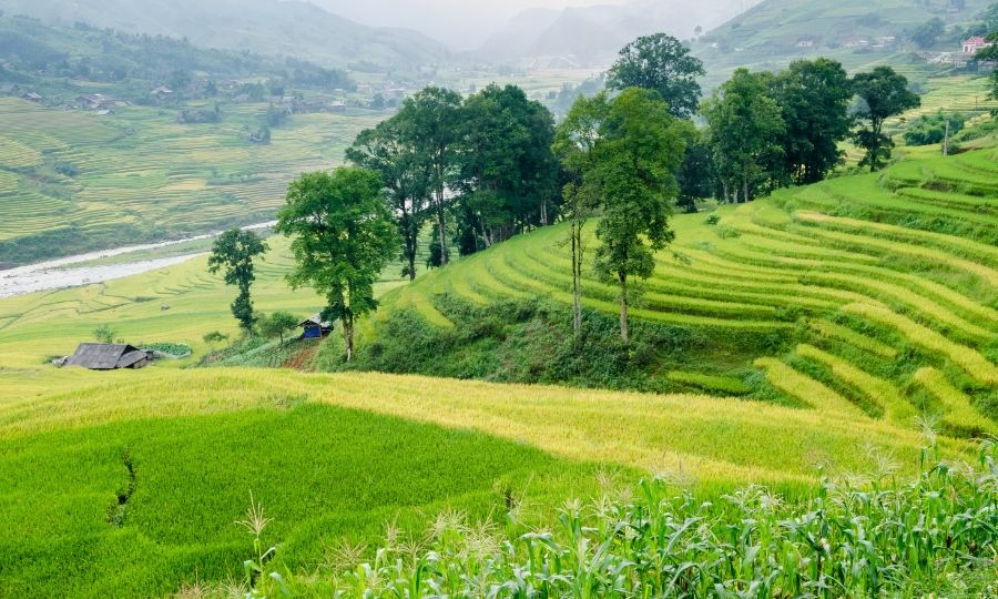 Sapa MuongHoaValley 3 cf0917a2