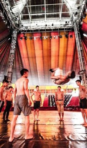 Phare circus in siem reap d0304598