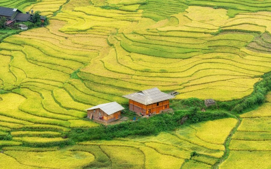 Sapa TerracedField 4 d0609d78