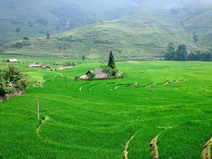 Seni Muong Hoa Valley d0c9ffd8