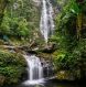 Pu Mat National Park is one of the largest protected areas in central Vietnam d9b5d82e