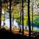 vong Canh Hill dbc3e69c