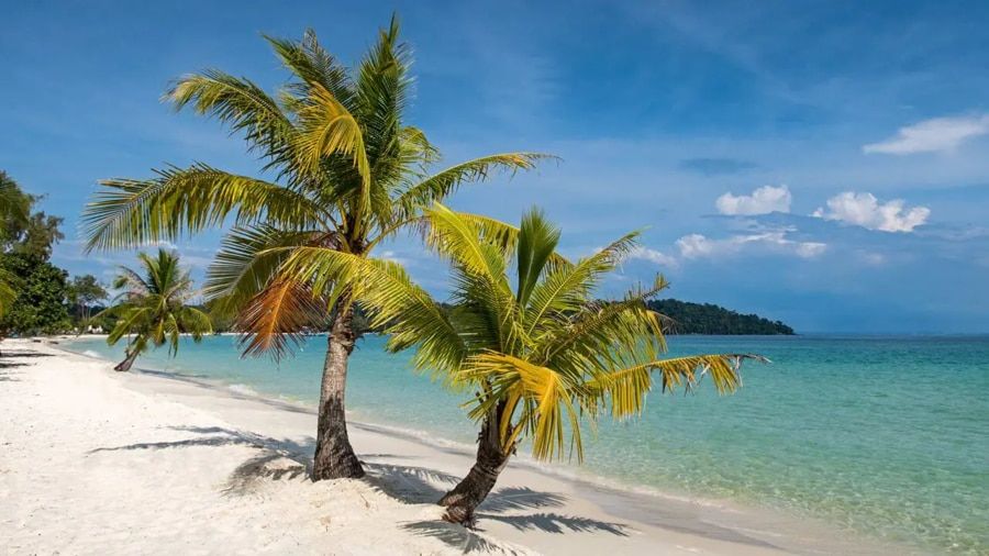 Koh Thmei Beach e029d3c4