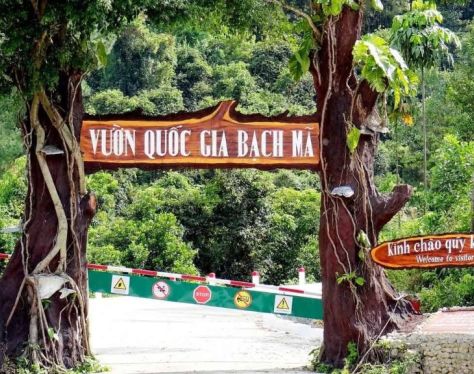 Hue Bach Ma National Park 1 e370779e