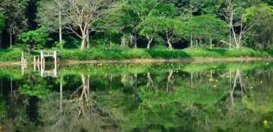 Ninh Binh Cuc Phuong National Park 2 e64cdc60